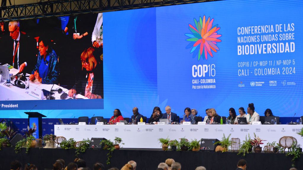 COP16 en Colombia: se inicia el encuentro de biodiversidad en Cali