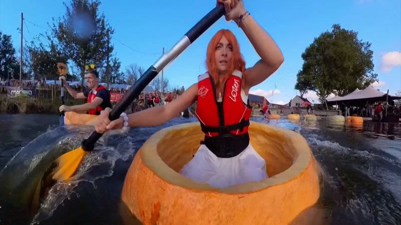 Mira cómo es la competencia acuática dentro de calabazas gigantes