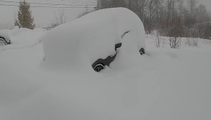 Nevadas extremas en EE.UU. dejan autos enterrados y caos