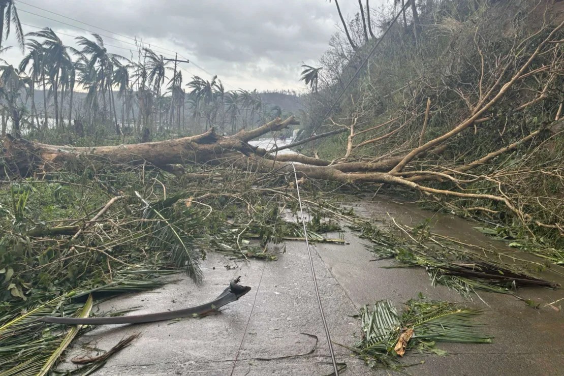 Filipinas se recupera tras el tifón Man-yi, la cuarta gran tormenta que azota el país en las últimas dos semanas imagen-7