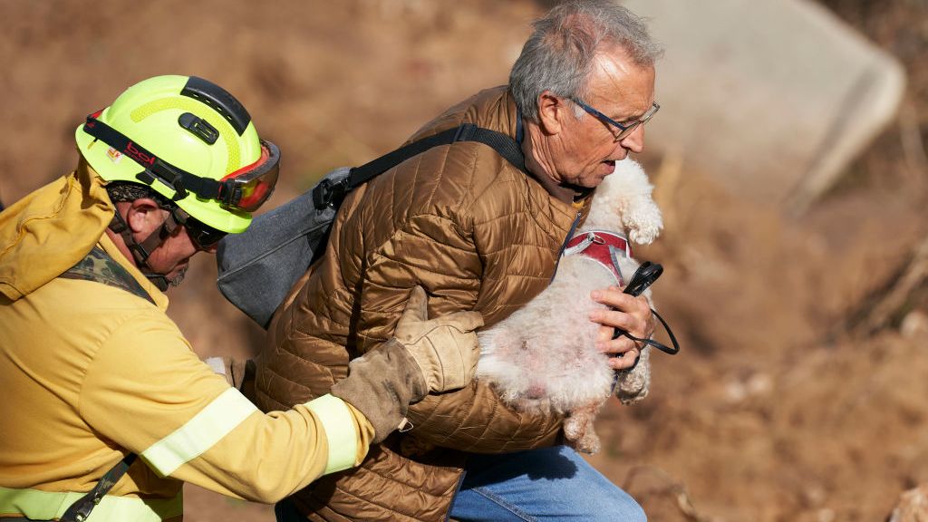 Los animales, las otras víctimas de la DANA en Valencia, España