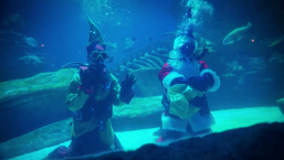 ¿Santa Claus y uno de sus elfos en Londres? Así fue su divertida visita a un acuario