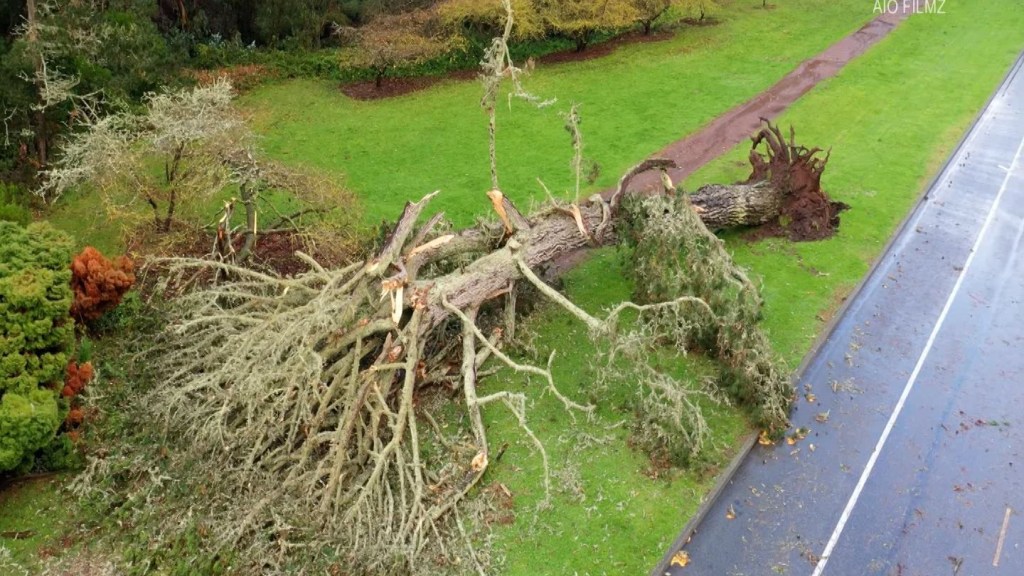 Un tornado toca tierra en Scotts Valley, cerca de San Francisco