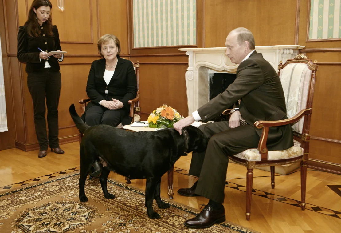 Angela Merkel recuerda la “fascinación de Trump por el poder absoluto” de hombres fuertes como Putin y Kim imagen-10