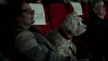 Cine en París realiza función exclusiva para perros y sus dueños