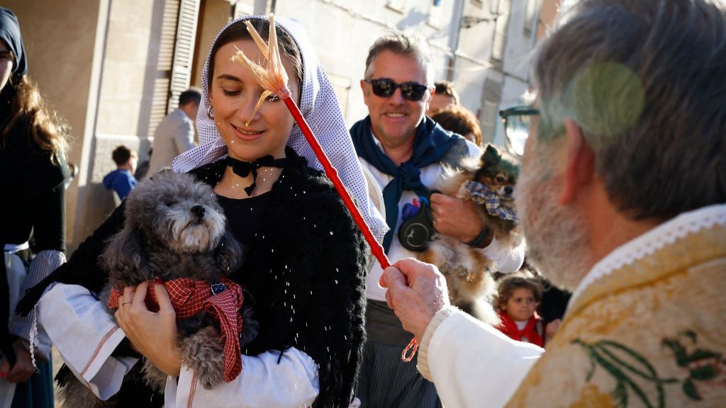 Desde perros hasta gallinas, así bendicen a los animales fuera de las iglesias en el día de San Antón en España