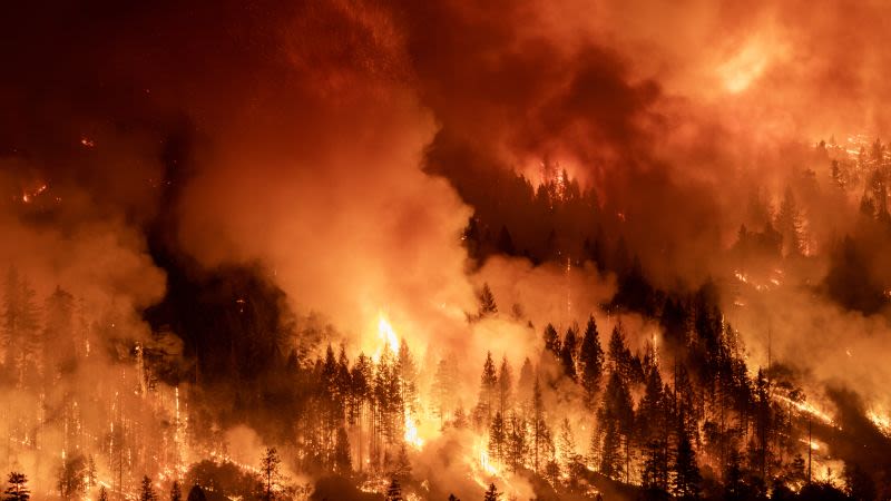 Los incendios forestales arrasan Los Ángeles. ¿Por qué sucede esto en invierno?